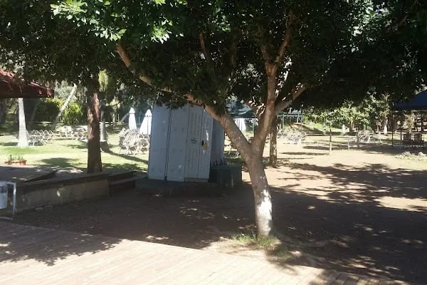 Adana Atlı Spor Kulübü - Resim 19