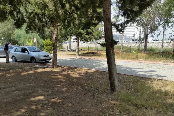 Adana Atlı Spor Kulübü - Resim 6