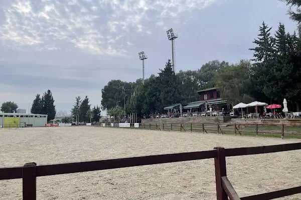 Adana Atlı Spor Kulübü - Resim 2