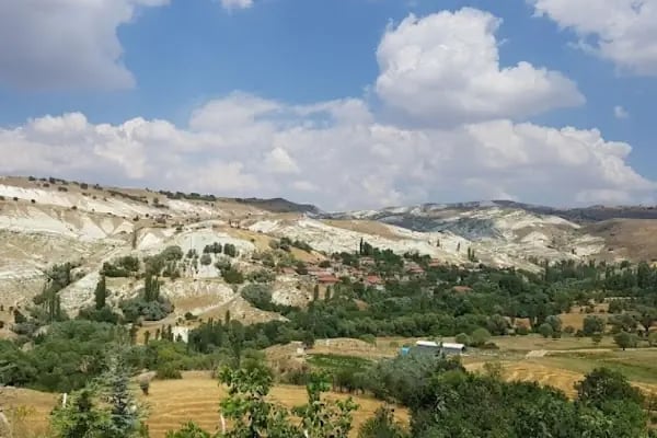 Jandarma Hatıra Ormanı - Resim 3