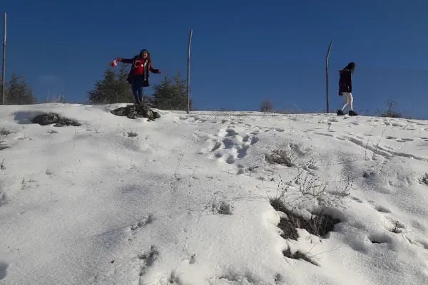 Jandarma Hatıra Ormanı - Resim 4
