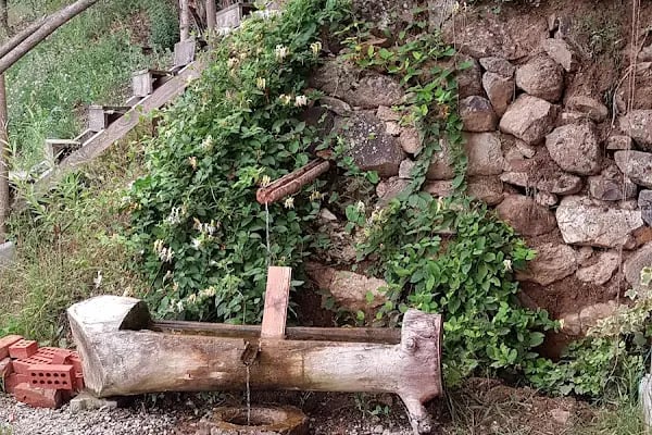 Jandarma Hatıra Ormanı - Resim 20