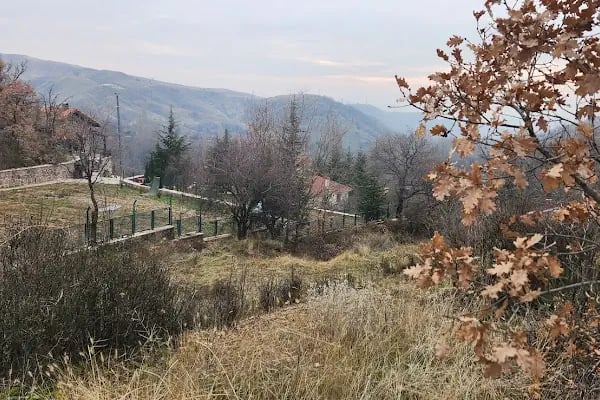 Jandarma Hatıra Ormanı - Resim 5