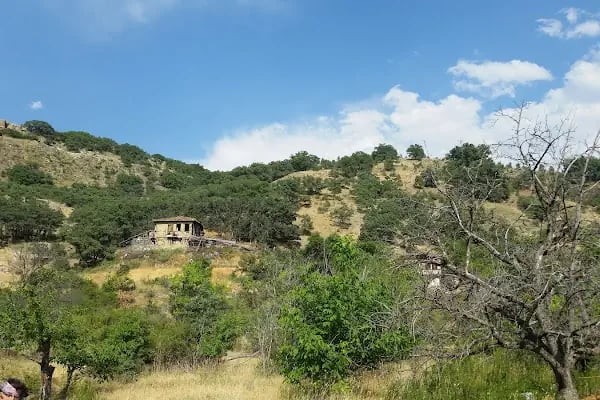 Jandarma Hatıra Ormanı - Resim 18