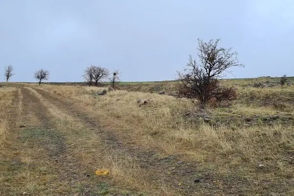 Jandarma Hatıra Ormanı - Resim 6