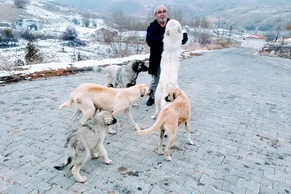 Jandarma Hatıra Ormanı - Resim 10