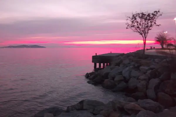 koruparkmarina - Resim 13