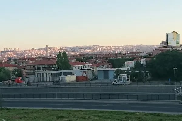 Malazgirt Cami - Resim 10