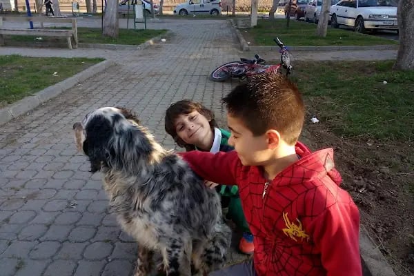 Necdet Tosun Parkı - Resim 18