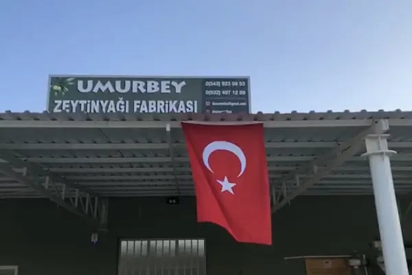 Umurbey Zeytinyağı Fabrikası - Resim 7