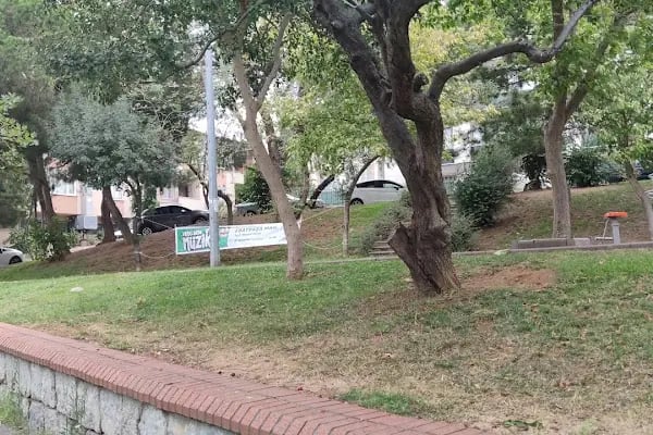 Aşık Veysel Parkı - Resim 14