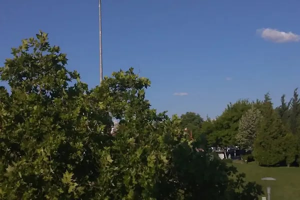 Altınpark Paten - Resim 19
