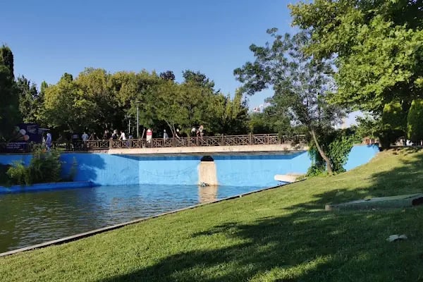 Altınpark Paten - Resim 14