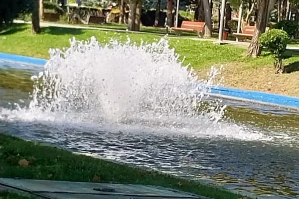 Altınpark Paten - Resim 15