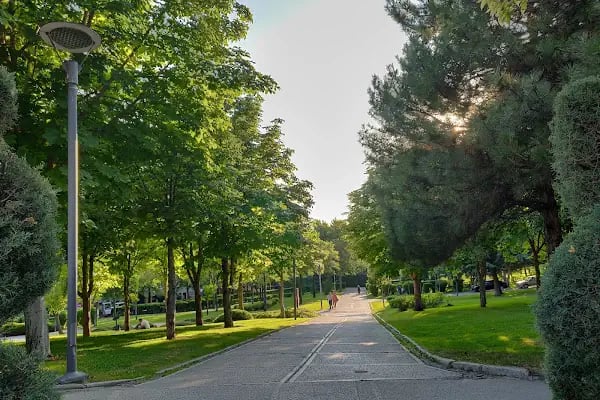 Altınpark Paten - Resim 3
