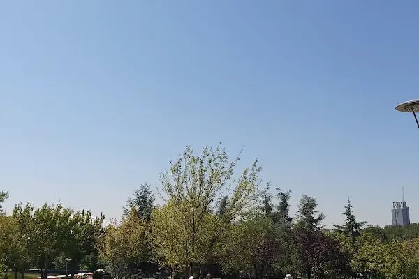 Altınpark Paten - Resim 17