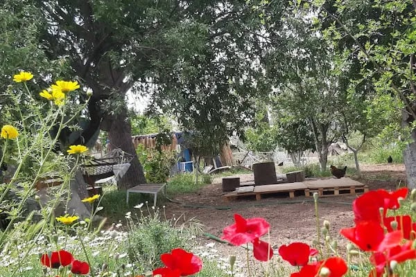 Küme evleri camping - Resim 6