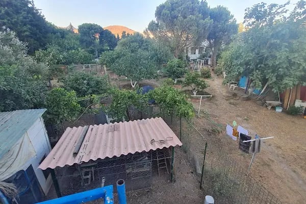 Küme evleri camping - Resim 14
