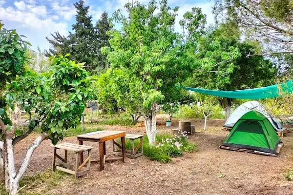 Küme evleri camping - Resim 3