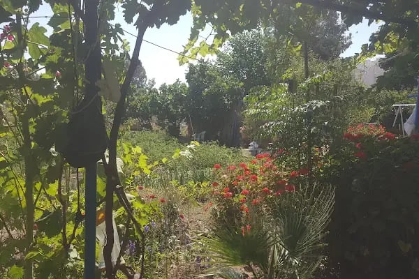 Küme evleri camping - Resim 9