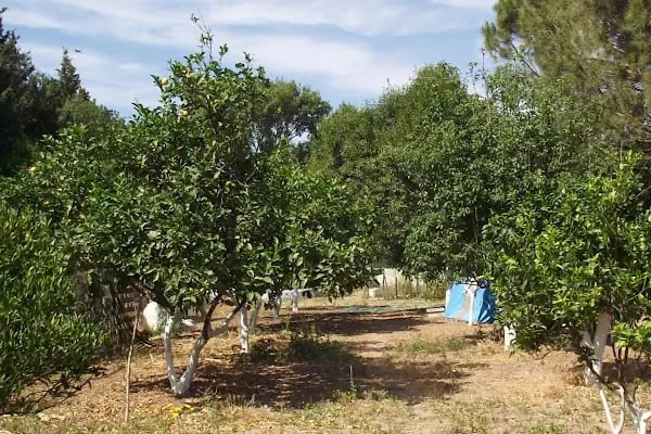 Küme evleri camping - Resim 2