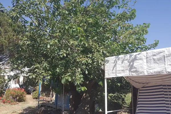 Küme evleri camping - Resim 18