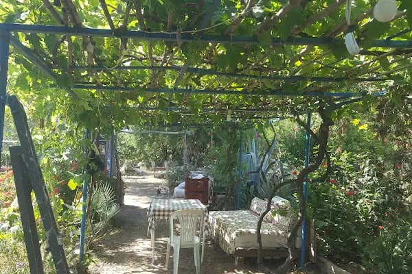 Küme evleri camping - Resim 4