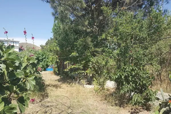 Küme evleri camping - Resim 7