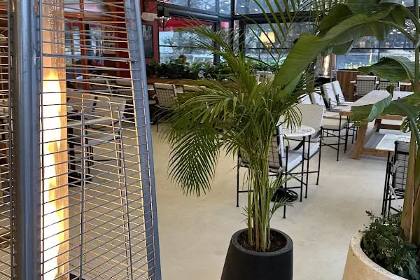 Solo Cibo Restaurant - Resim 18