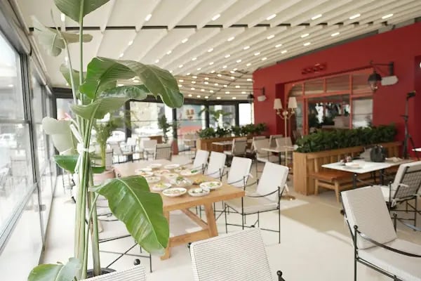 Solo Cibo Restaurant - Resim 2