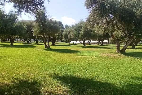 Ceylan Konuk Evi - Resim 17