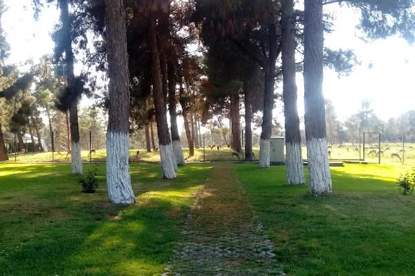 Ceylan Konuk Evi - Resim 14