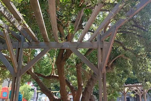 Kılıçreis İhsan Alyanak Parkı - Resim 14