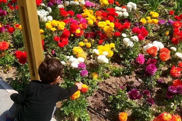 Kılıçreis İhsan Alyanak Parkı - Resim 18