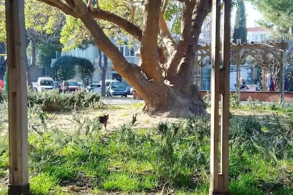 Kılıçreis İhsan Alyanak Parkı - Resim 20