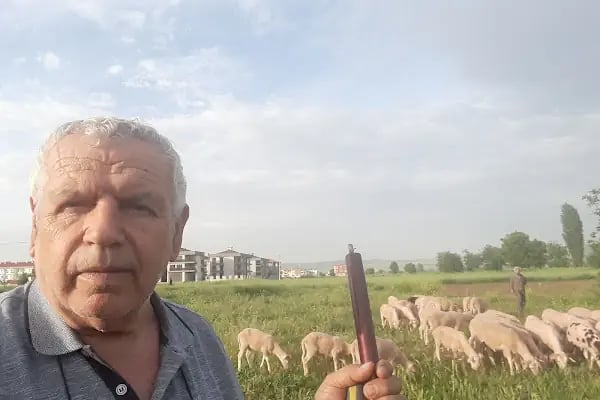 Yeşil Vadi Sitesi - Resim 2
