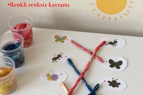 Erva Sude Baç Danışmanlık - Resim 14