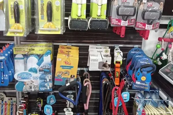 UĞUR PET SHOP - Resim 4