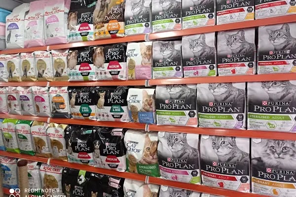 UĞUR PET SHOP - Resim 3