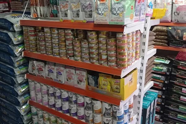 UĞUR PET SHOP - Resim 2