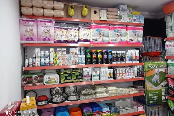 UĞUR PET SHOP - Resim 5