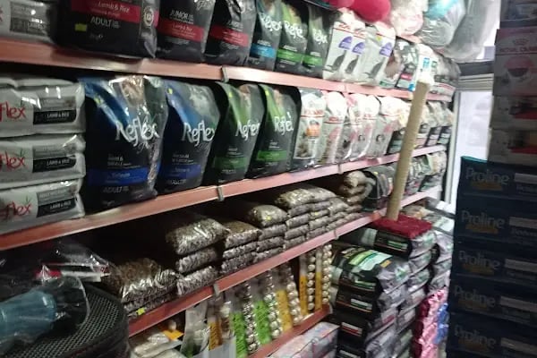 UĞUR PET SHOP - Resim 6