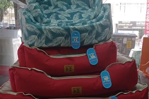 UĞUR PET SHOP - Resim 7