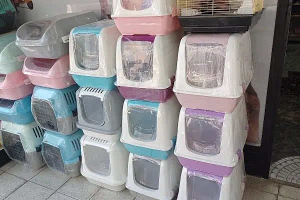 UĞUR PET SHOP - Resim 10