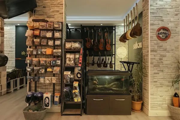 Söz Müzik Evi - Resim 3