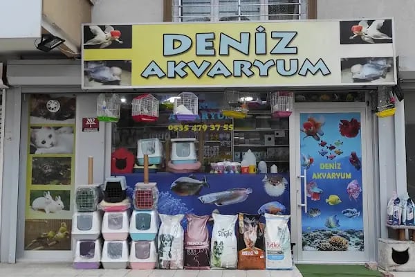 Deniz akvaryum mamak - Resim 2