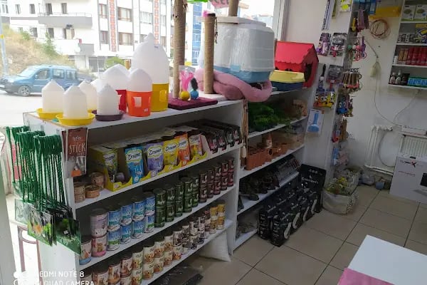 Deniz akvaryum mamak - Resim 16