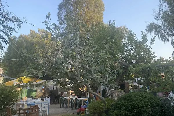 Ayarlı Kokoreç - Resim 18