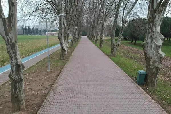 Gebze Teknik Üniversitesi Öğrenci İşleri Daire Başkanlığı - Resim 4