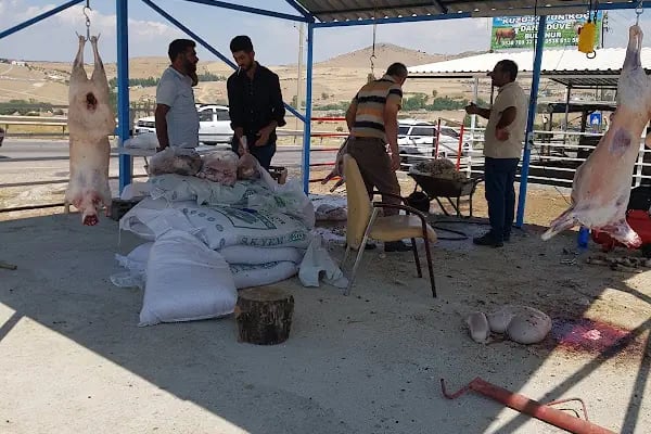 BOZ KARDEŞLER ADAK KURBAN - Resim 14